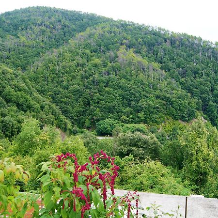 Chez Il Pino Vernazza Vista Mare Kültér fotó
