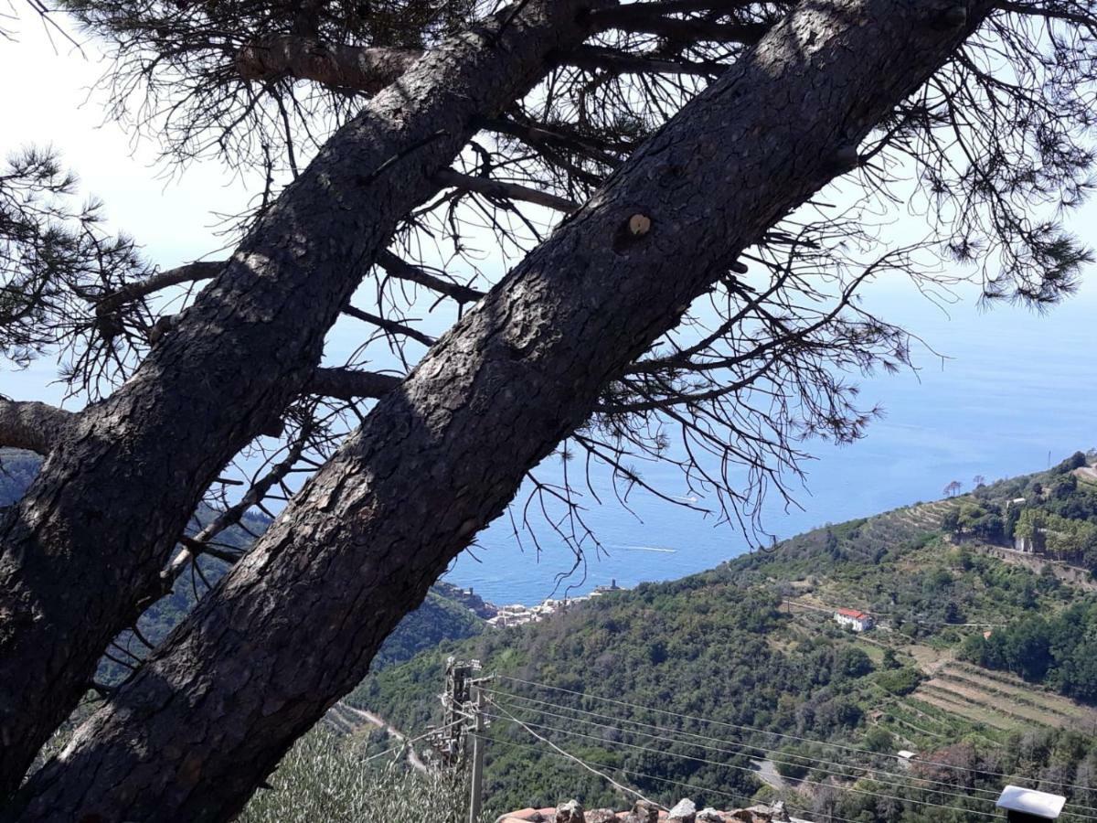Chez Il Pino Vernazza Vista Mare Kültér fotó